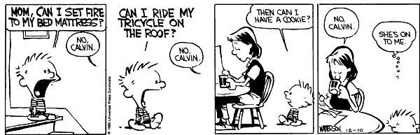 [Calvin and Hobbes]